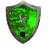 Virtual Security